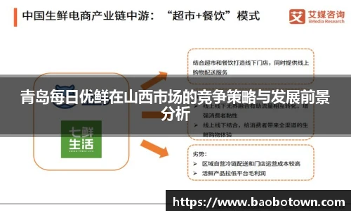 青岛每日优鲜在山西市场的竞争策略与发展前景分析