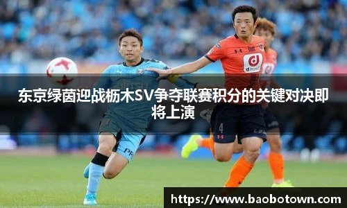 东京绿茵迎战枥木SV争夺联赛积分的关键对决即将上演