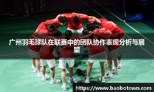 广州羽毛球队在联赛中的团队协作表现分析与展望
